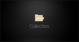 Designer WP Themes